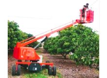 果園采摘車(chē) 閱讀次數(shù)：919